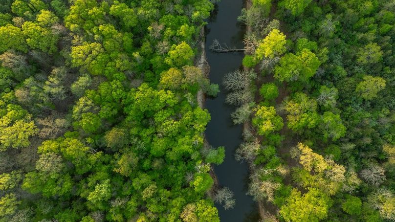 1 Copy of 60 Marion TX 143 and 117 Featured_ProPhoto-119