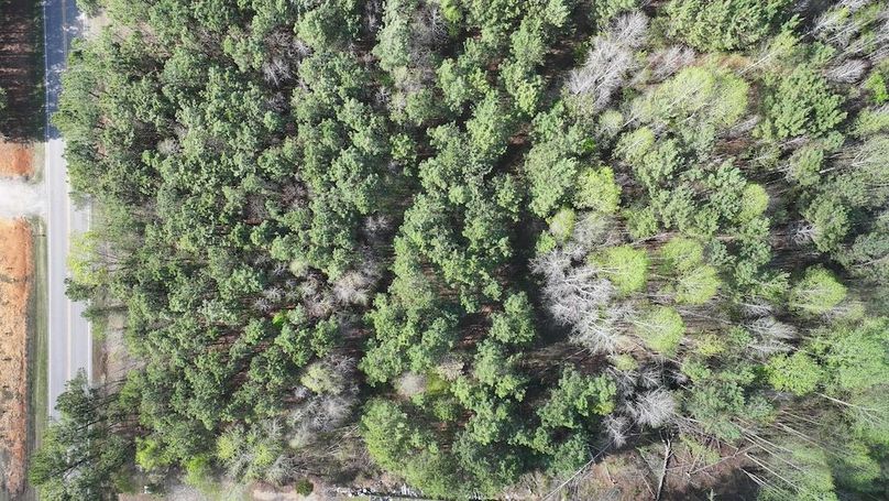 dji_fly_20260330_085702_0545_1774989417626_photo