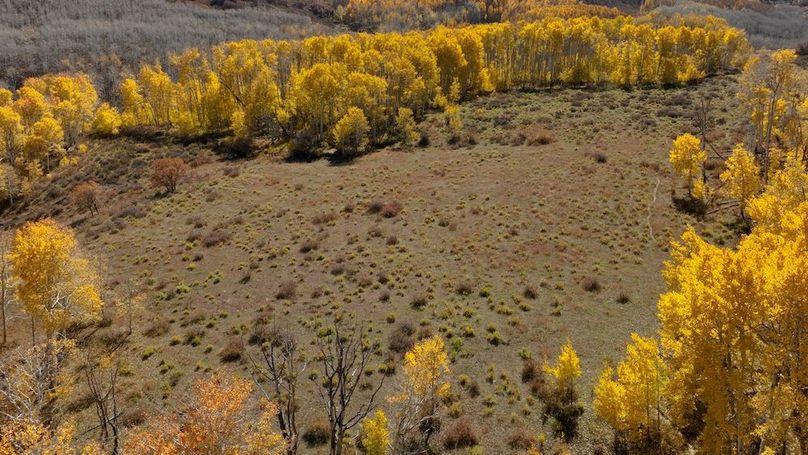 Copy of Mesa CO 1,517_Pic 7