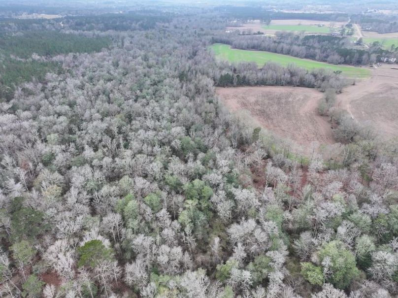 dji_fly_20260122_131106_0888_1769444802273_photo