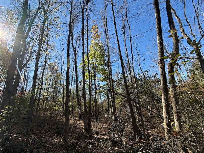 Wayne_18.11_Koehler Photo 25