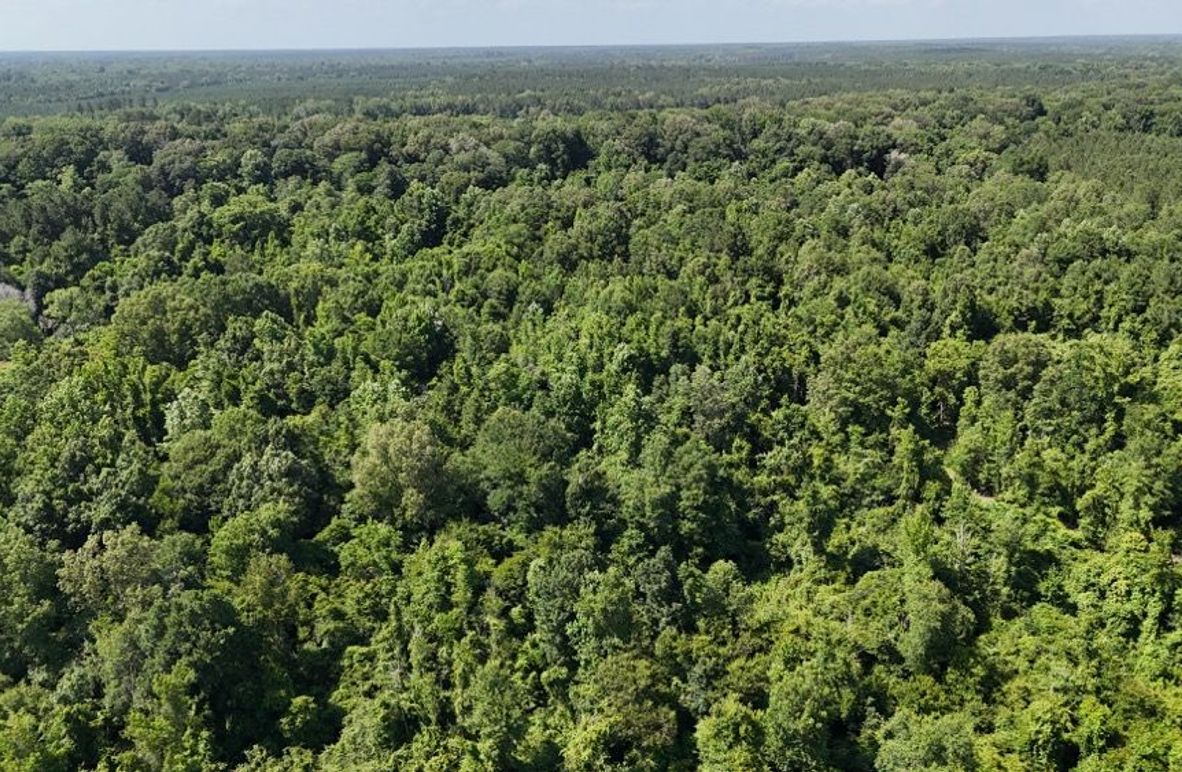 dji_fly_20250526_043848_0005_1748267931012_photo