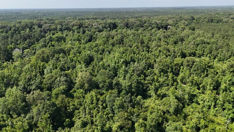 dji_fly_20250526_043848_0005_1748267931012_photo