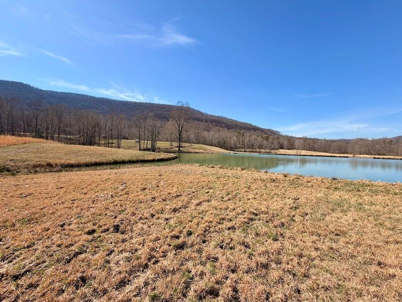 Morgan Co TN 310.833 Schneller_90