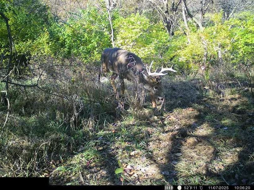 864049054588258-100-4-11072025100637-W1003380