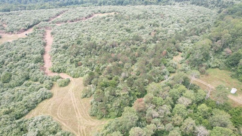 dji_fly_20250806_125938_556_1754499837177_photo