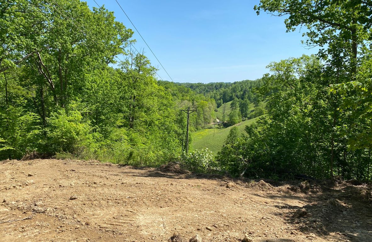 002 view from the knob in the south area of the property copy