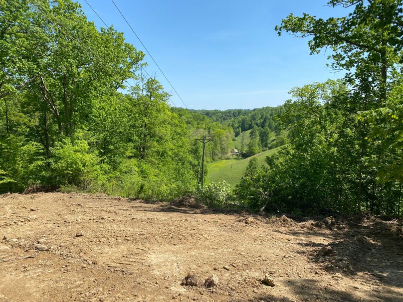 002 view from the knob in the south area of the property copy