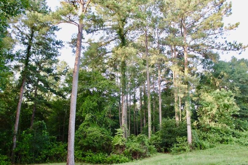 252B7807-0A47-4575-9C7A-203AD551C330_1_105_c