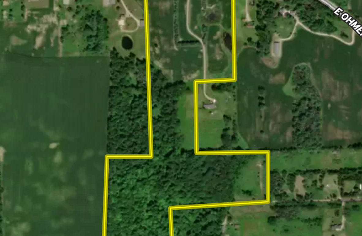 Screen Shot 2024-08-05 at 8.18.45 AM