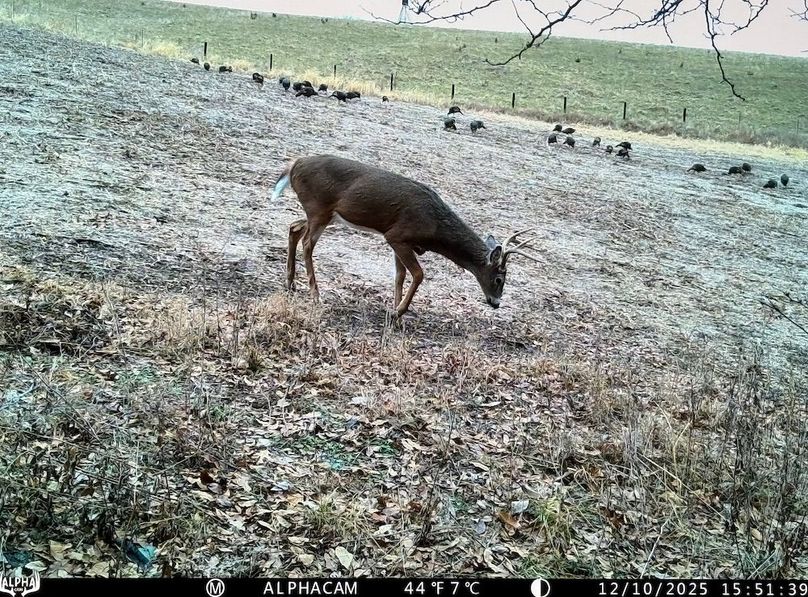 TRAIL CAM 13
