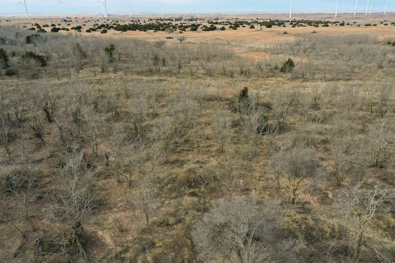 DJI_0582