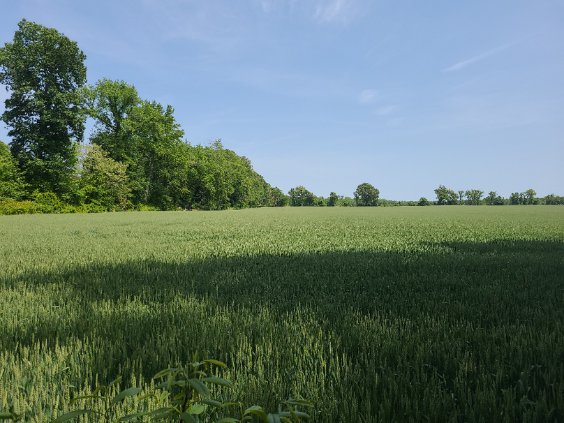 26.48ac_McKenneyLn_QAnnes_17