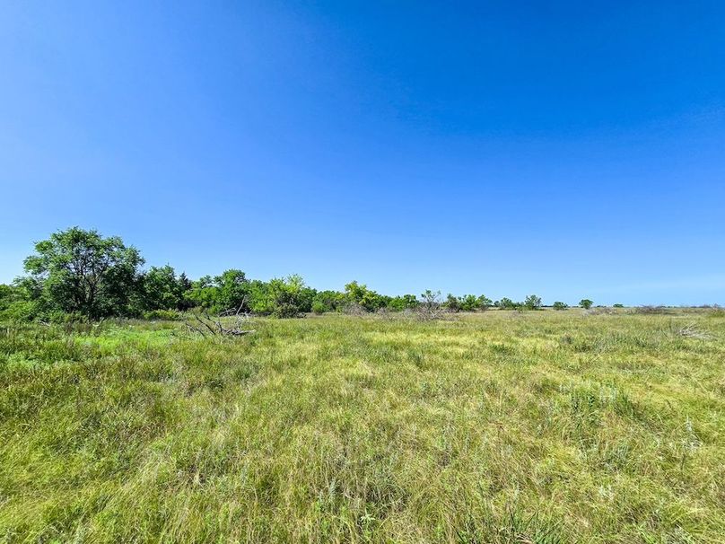 Copy of 20250729_105110