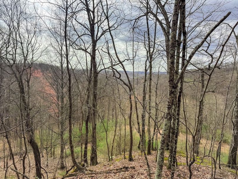 Ritchie, WV 206.08 AC Curriden-52