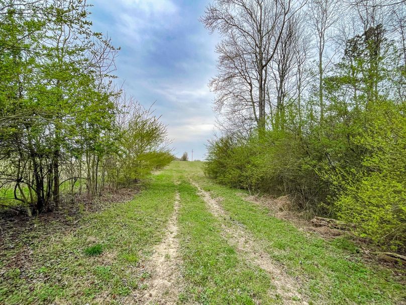 77C34B3A-6522-48C8-8FC1-DEB9D6C22DC0