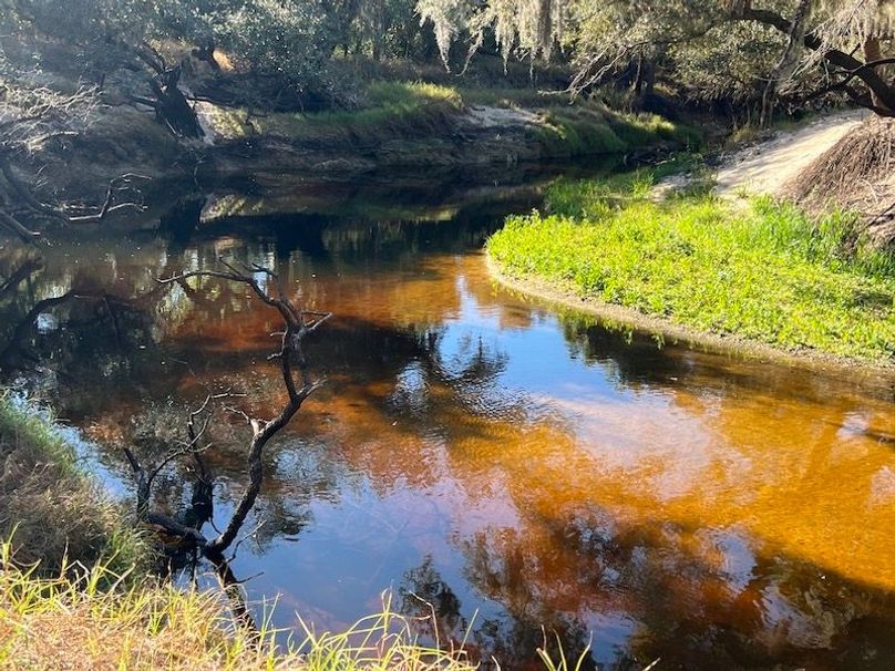 AC3074E4-9CA3-45F4-B0BC-D58E8C946429_1_105_c