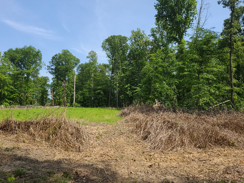 26.48ac_McKenneyLn_QAnnes_09