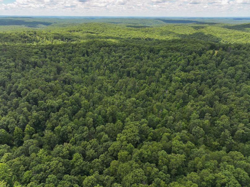 DJI_20250709125928_0419_D