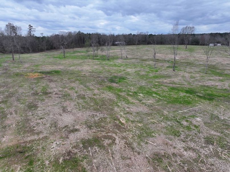 dji_fly_20260217_144448_0176_1771436896051_photo