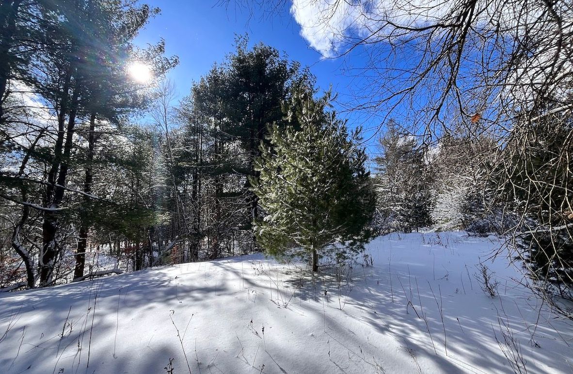 Oswego_11.78_Somberg Photo 1