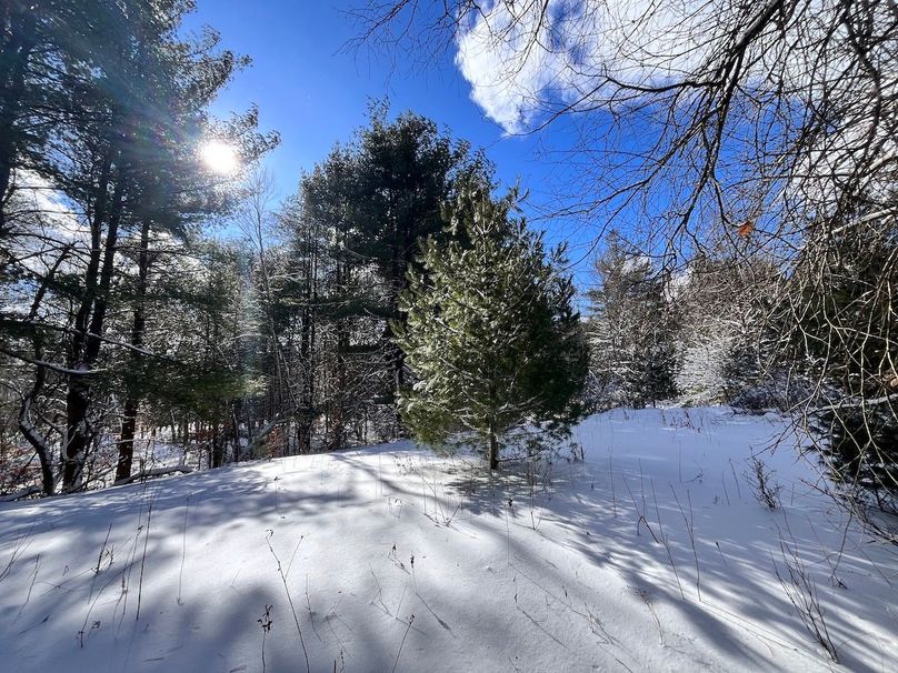 Oswego_11.78_Somberg Photo 1