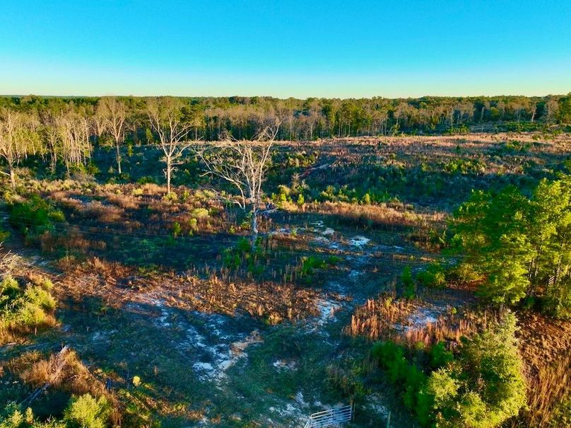 831D97D4-2CE5-4B9D-823E-2B2CBEC3B79C_1_105_c