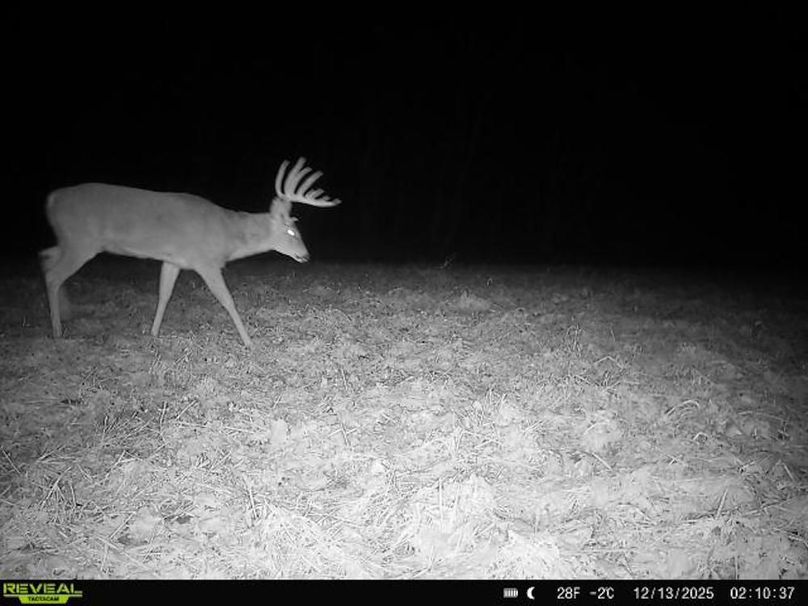 864049056613559-90-4-12132025021036-W1047256