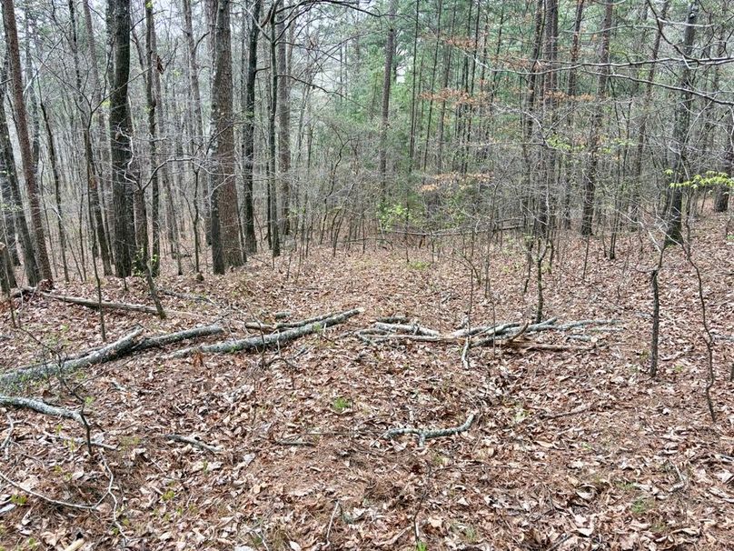 7775976A-4DD0-4272-B4CD-B5E9E68B07DD_1_201_a