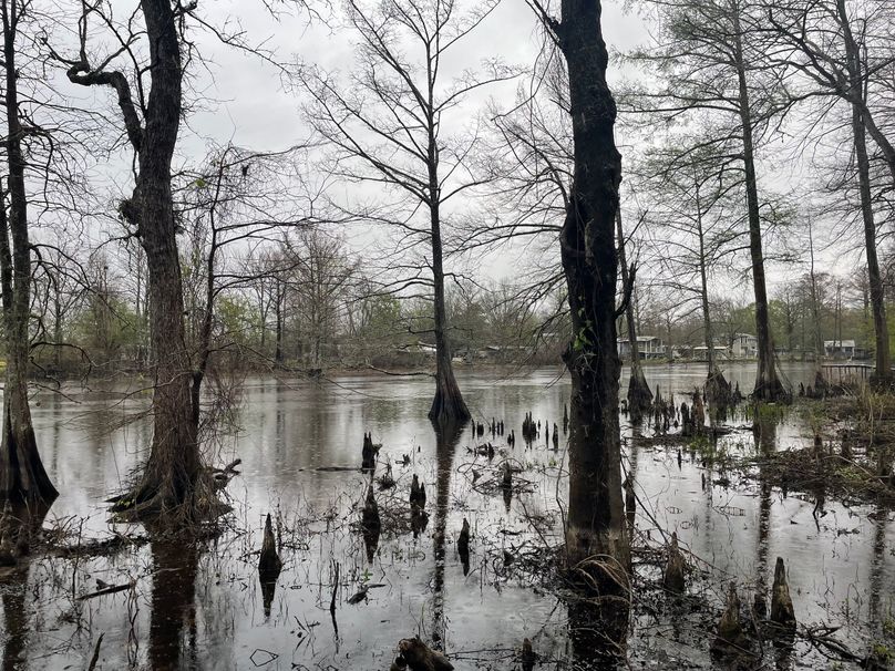 95F07D2C-1FA0-4396-9DFA-2C544D88D11F