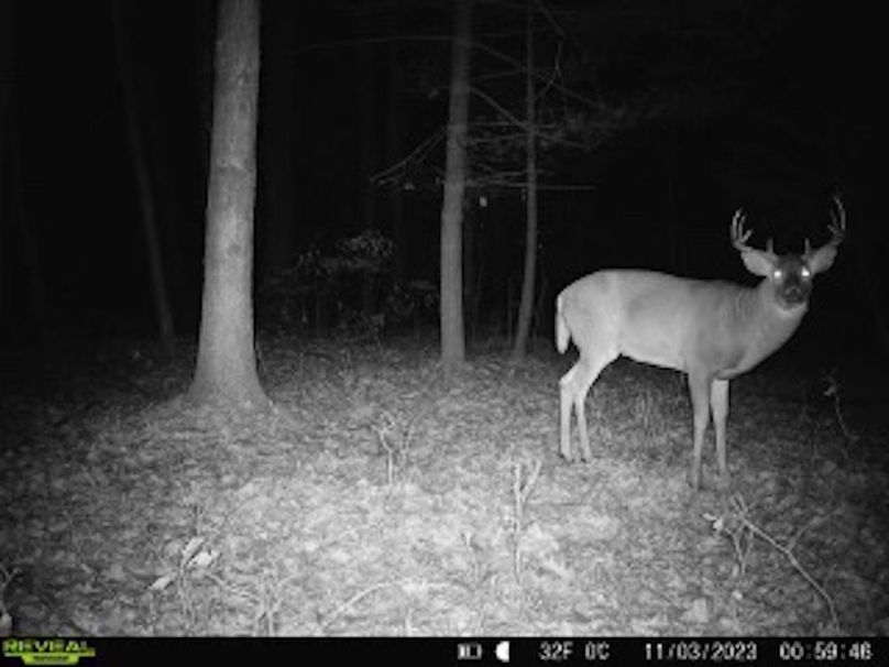 ClarK 160 WILLIAMS -2a