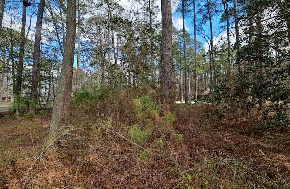 Romancoke_QAnnes_PIC_04