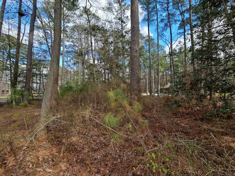 Romancoke_QAnnes_PIC_04