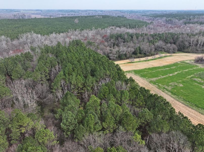 DJI_20240316121913_0019_D