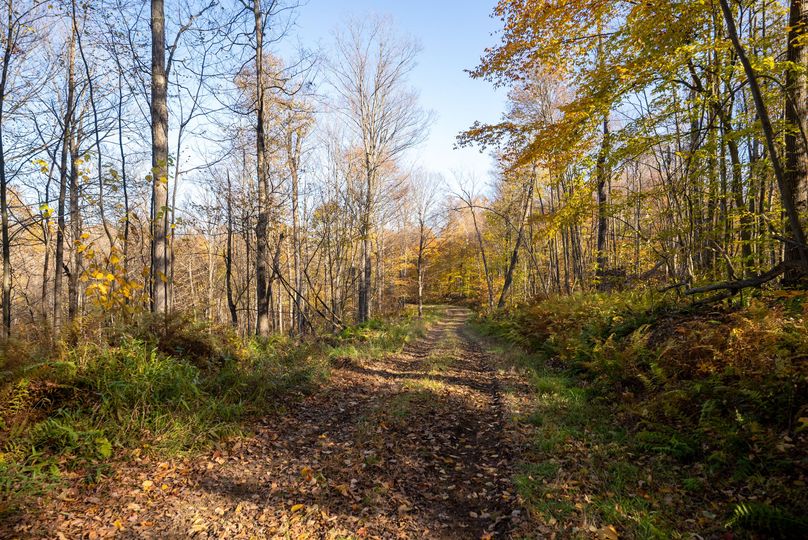 Elk PA 7000 Feature_Pro Photo-134