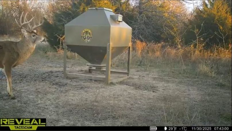 Screenshot_24-1-2026_92053_drive.google.com