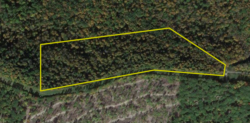 Screen Shot 2023-04-25 at 11.55.26 AM