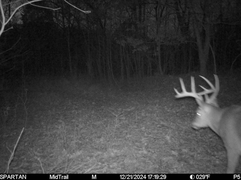 trail cam13
