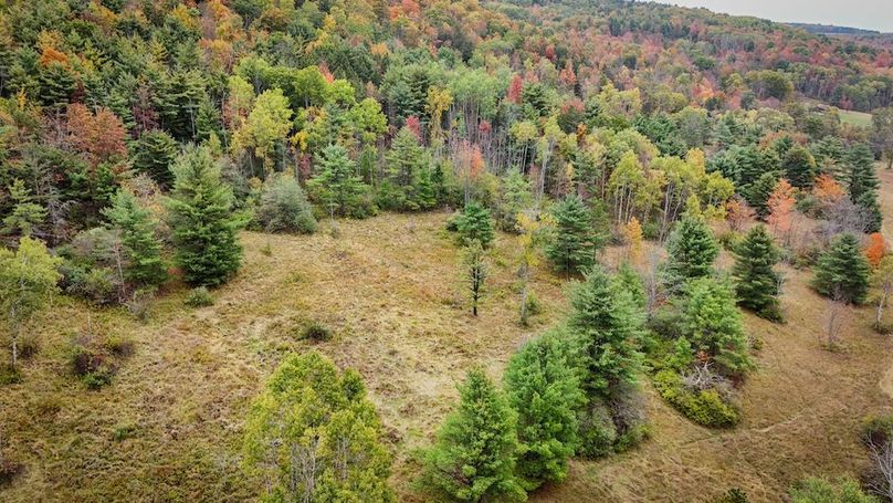 DJI_20251007162334_0660_D