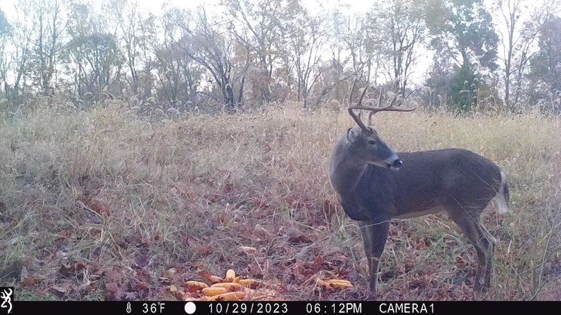 trail cam29