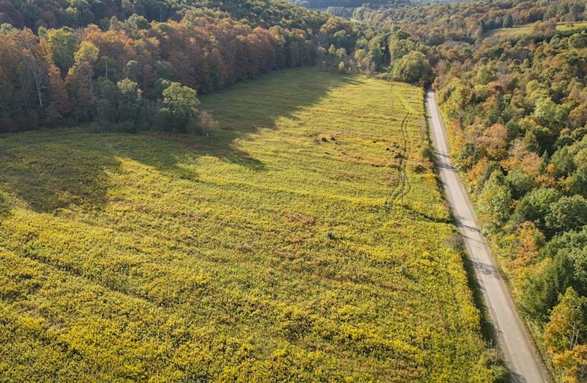 Tioga_30_Flanner Photo 6