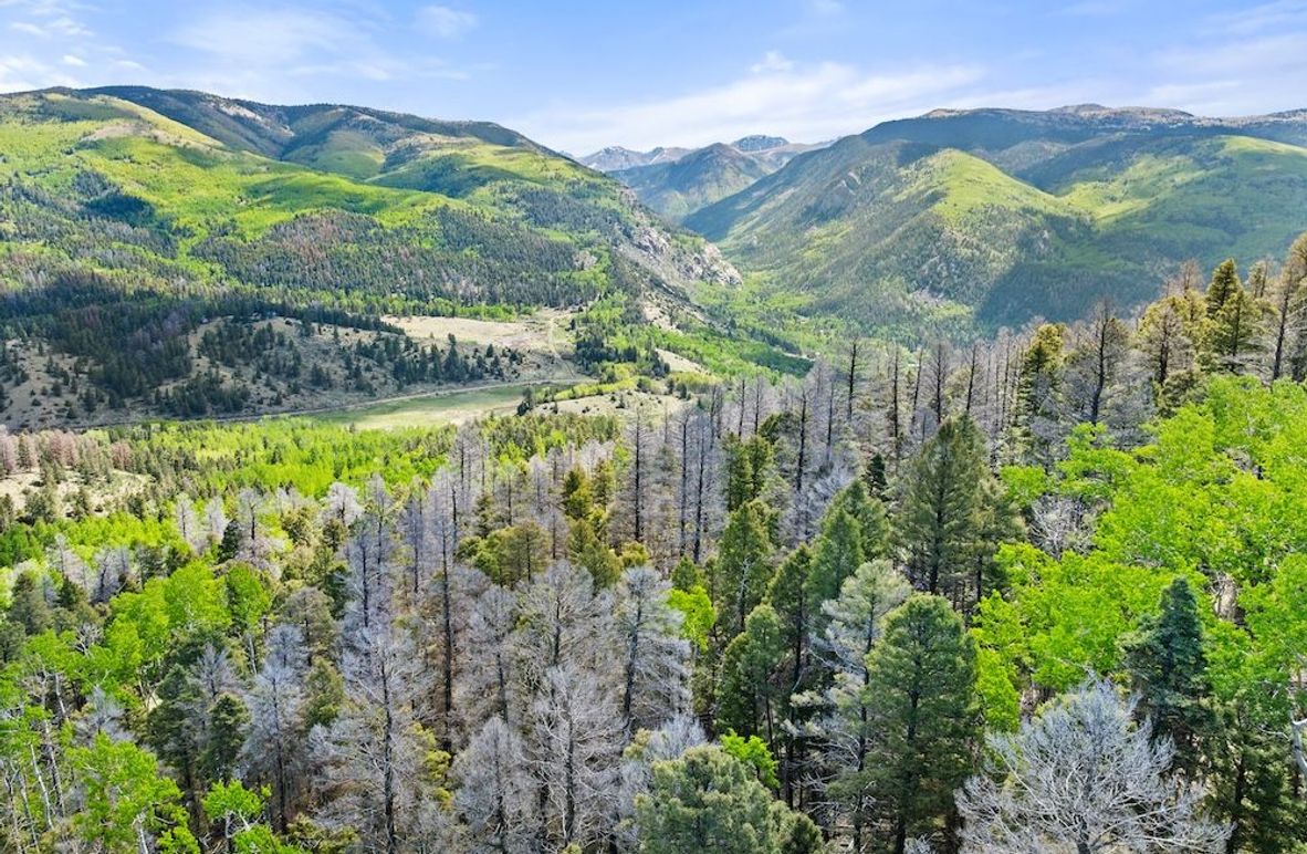 DJI_20250606102302_0084_D