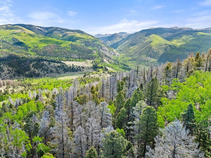 DJI_20250606102302_0084_D