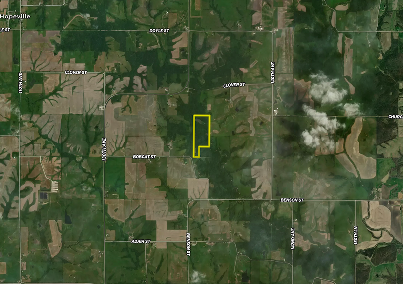 Screenshot 2024-08-16 at 11.16.17 AM