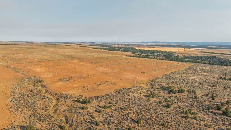 DJI_0555_1