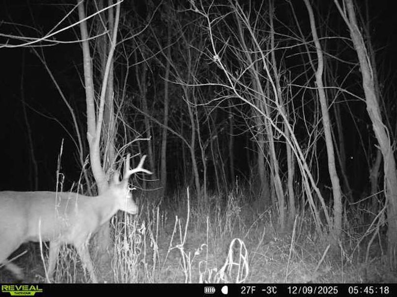 860516068100795-10-2-12092025054518-V-W1000101