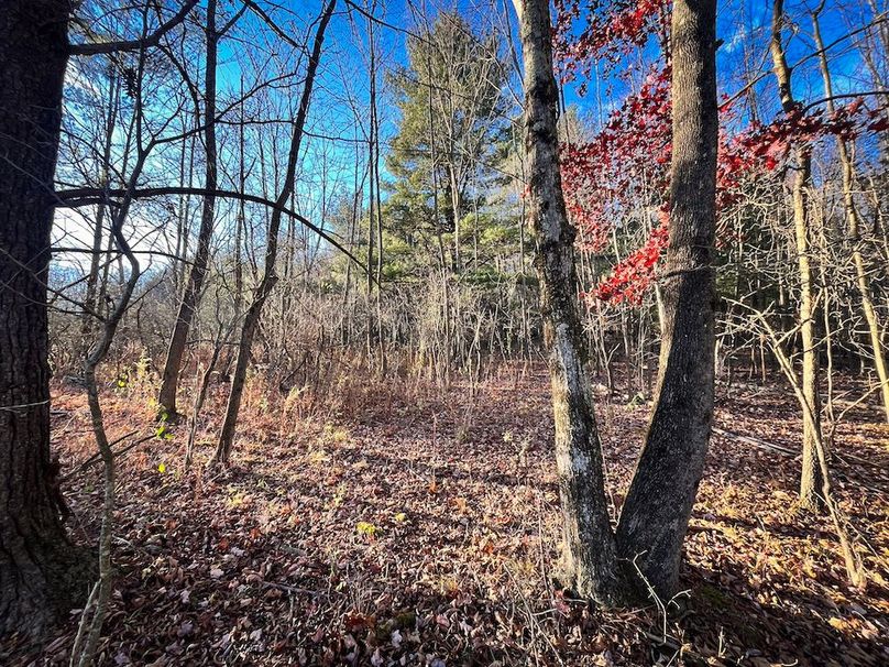 Chemung_110.6_Perry_Photos_7