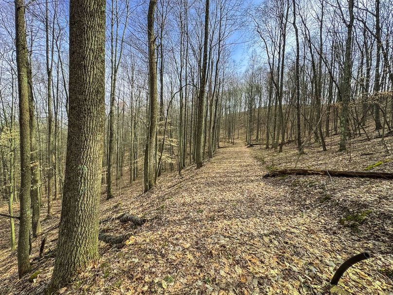 Ritchie, WV 206.08 AC Curriden-45