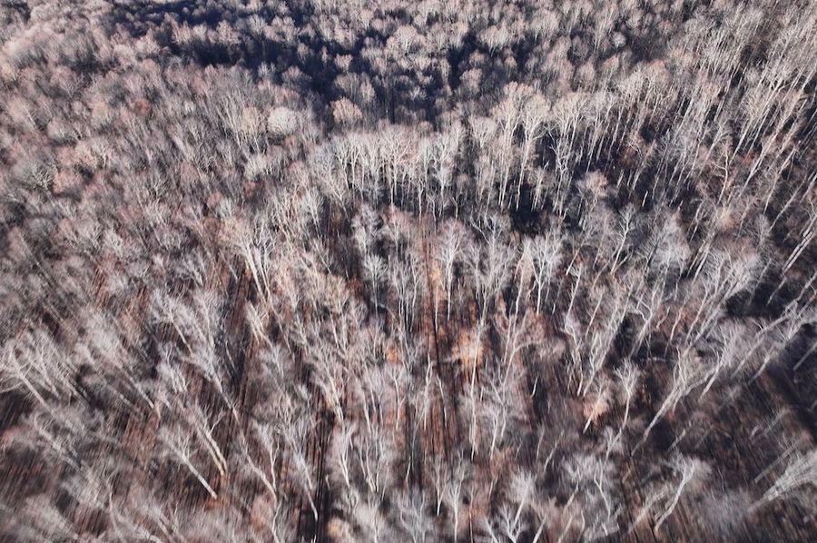 DJI_20241127034155_0792_D