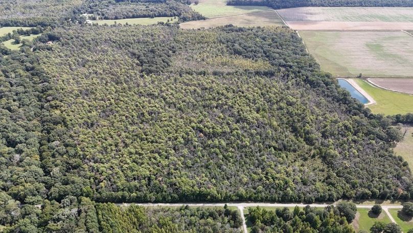 DJI_20250923004846_0739_D